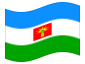 Animated flag Barinas