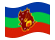 Waving flag of Amazonas