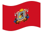 Animated flag Caracas