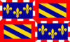 Flag graphic Burgundy (Bourgogne)