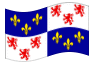 Animated flag Picardy
