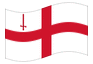 Animated flag London