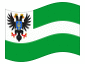 Animated flag Chernihiv