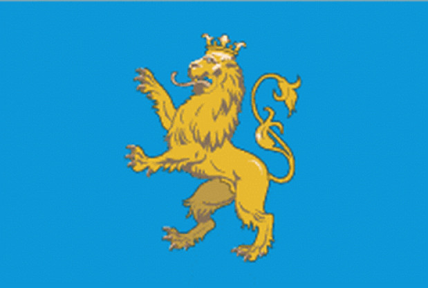 Flag Lviv, Banner Lviv