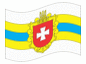 Animated flag Rivne