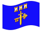 Animated flag Ternopil