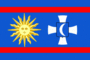 Flag graphic Vinnytsia