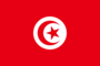 Flag graphic Tunisia