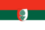 Flag graphic Augsburg