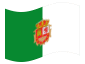 Waving flag of Fuerteventura