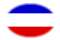 Oval vignette flag of Schleswig-Holstein (Prussian Province)