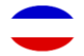 Oval vignette flag of Schleswig-Holstein (Prussian Province)