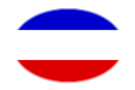 Oval vignette flag of Schleswig-Holstein (Prussian Province)